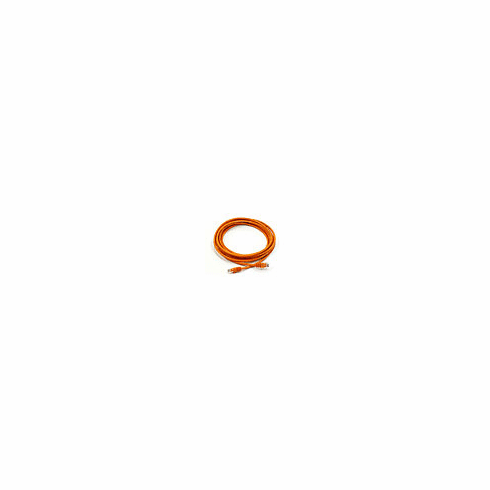 CAT 6 500MHz UTP 14FT Cable - Orange
