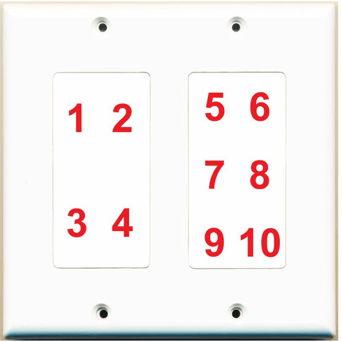 Custom 2 Gang Wall Plate with 10 Keystone Ports